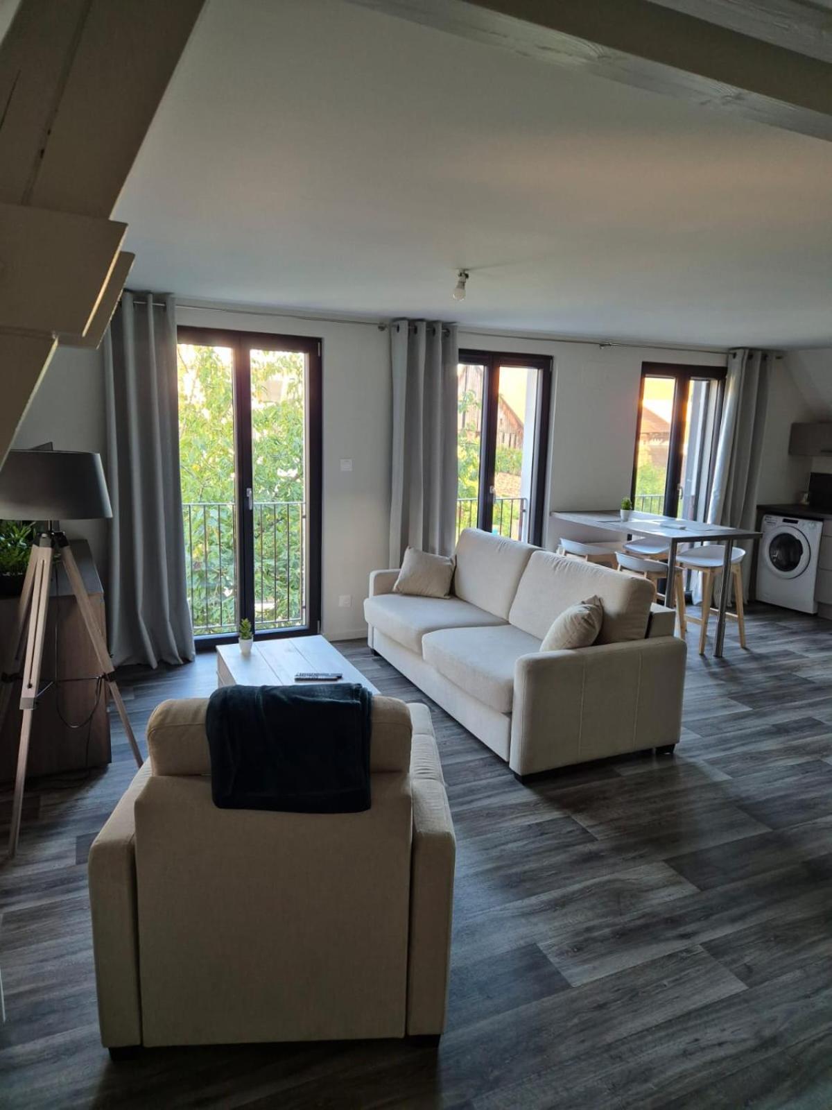 Appartement 2 Pieces Tout Confort, Aux Portes De Colmar Andolsheim ภายนอก รูปภาพ